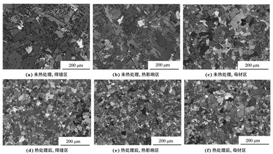圖２ 熱處理前后焊接接頭焊縫區(qū)、熱影響區(qū)和母材區(qū)的取向成像圖
