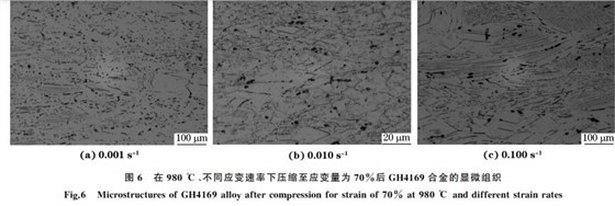 圖６ 在９８０ ℃、不同應(yīng)變速率下壓縮至應(yīng)變量為７０％