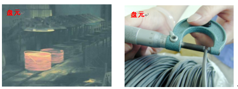 盤(pán)元