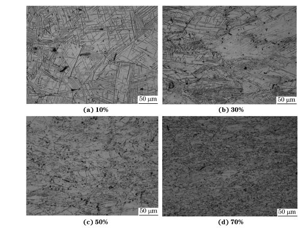 圖４ 在９８０ ℃、應(yīng)變速率為０．０１０s－１下壓縮至不同應(yīng)變量后GH４１６９合金的顯微組織