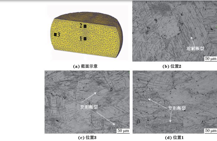 在９８０ ℃、應(yīng)變速率為０．０１０s－１下壓縮至應(yīng)變量為３０％后