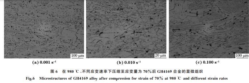 圖６ 在９８０ ℃、不同應(yīng)變速率下壓縮至應(yīng)變量為７０％
