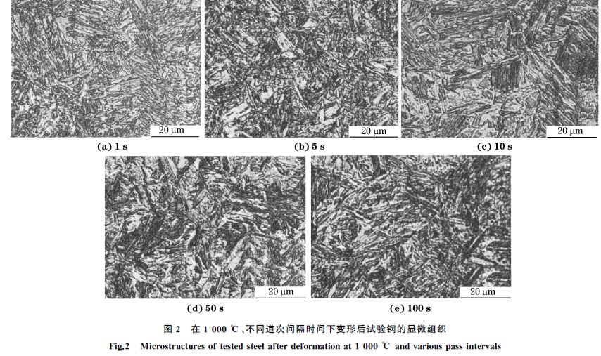 圖２ 在１０００ ℃、不同道次間隔時間下變形后試驗鋼的顯微組織